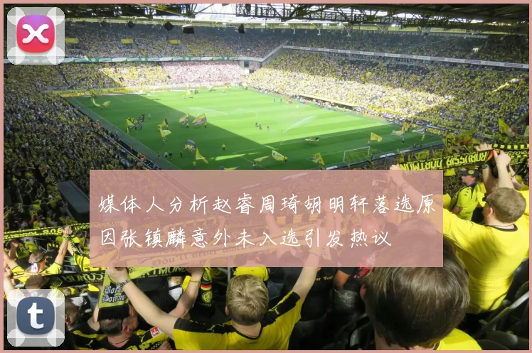 媒体人分析赵睿周琦胡明轩落选原因张镇麟意外未入选引发热议